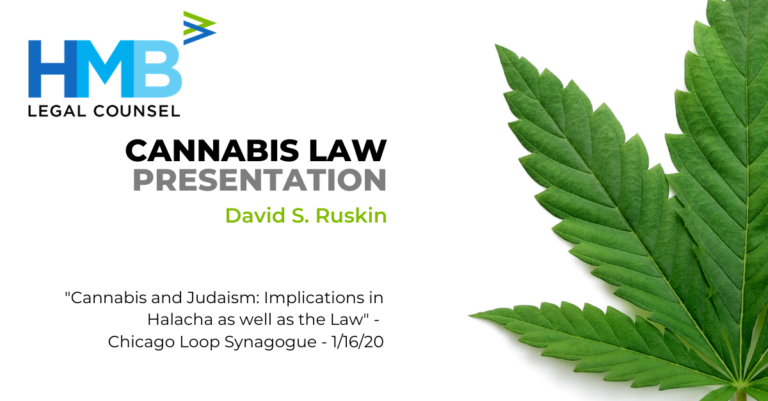 A cannabis leaf on a white background